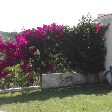 Moradia No Meco Villa *